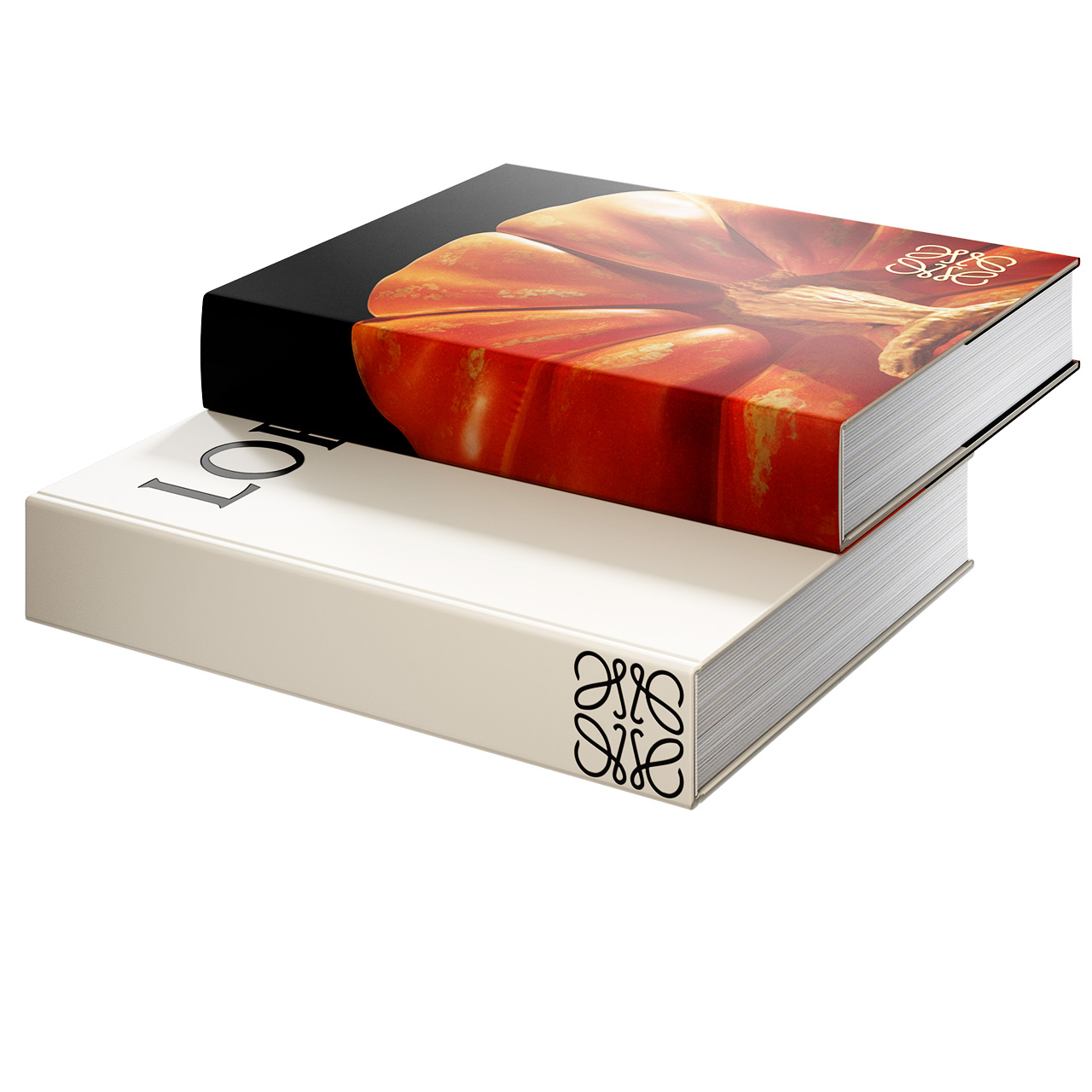 Crafted World Book by Loewe