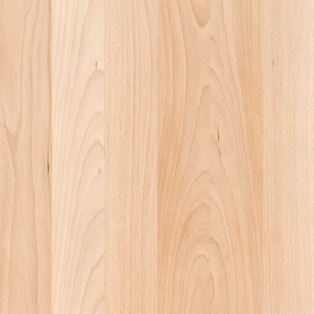 Beech Wood Texture 001