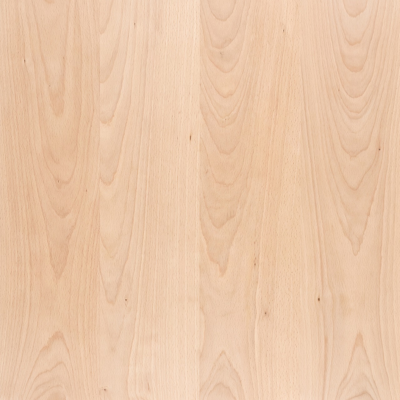 Beech Wood Texture 002