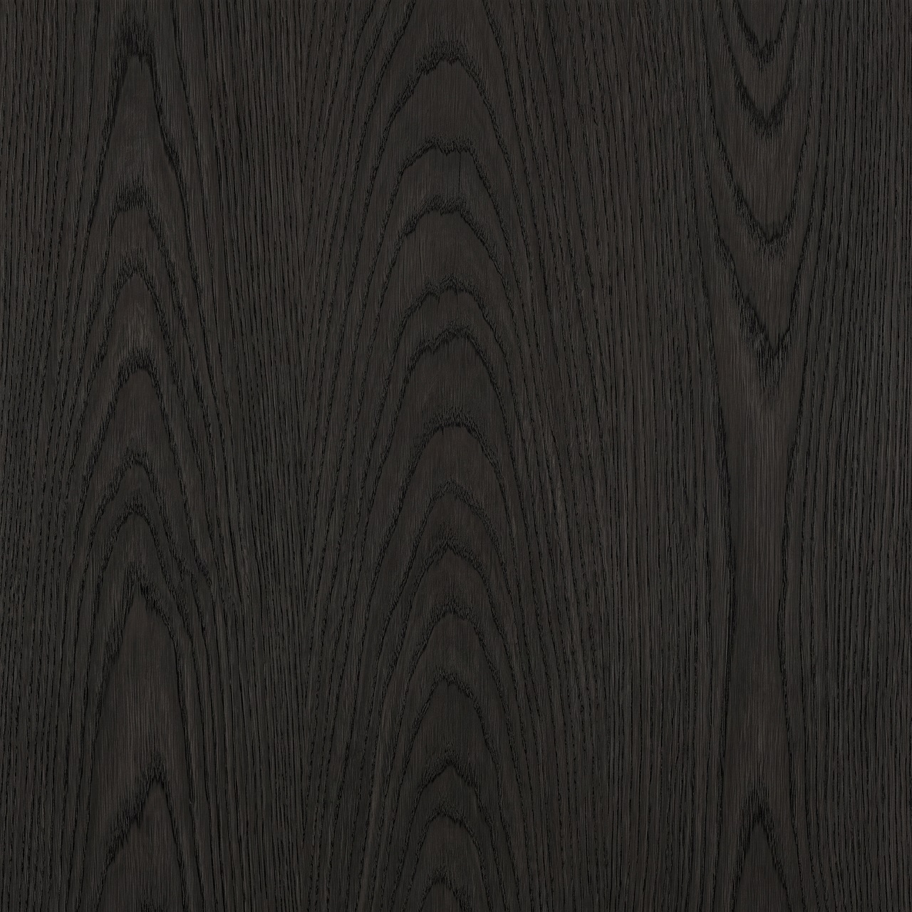 Black Stained European Oak Wood Texture 001