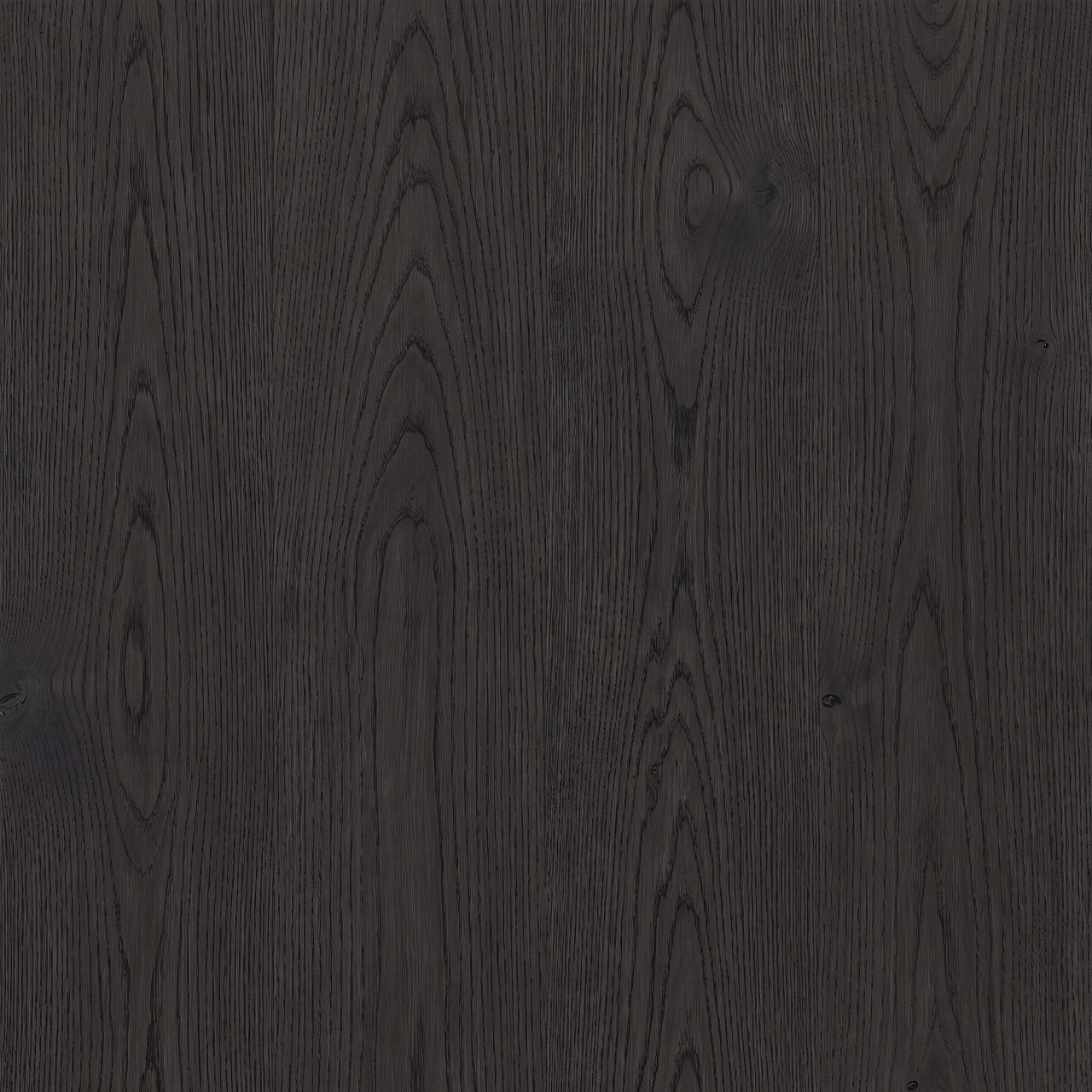 Black Stained European Oak Wood Texture 005