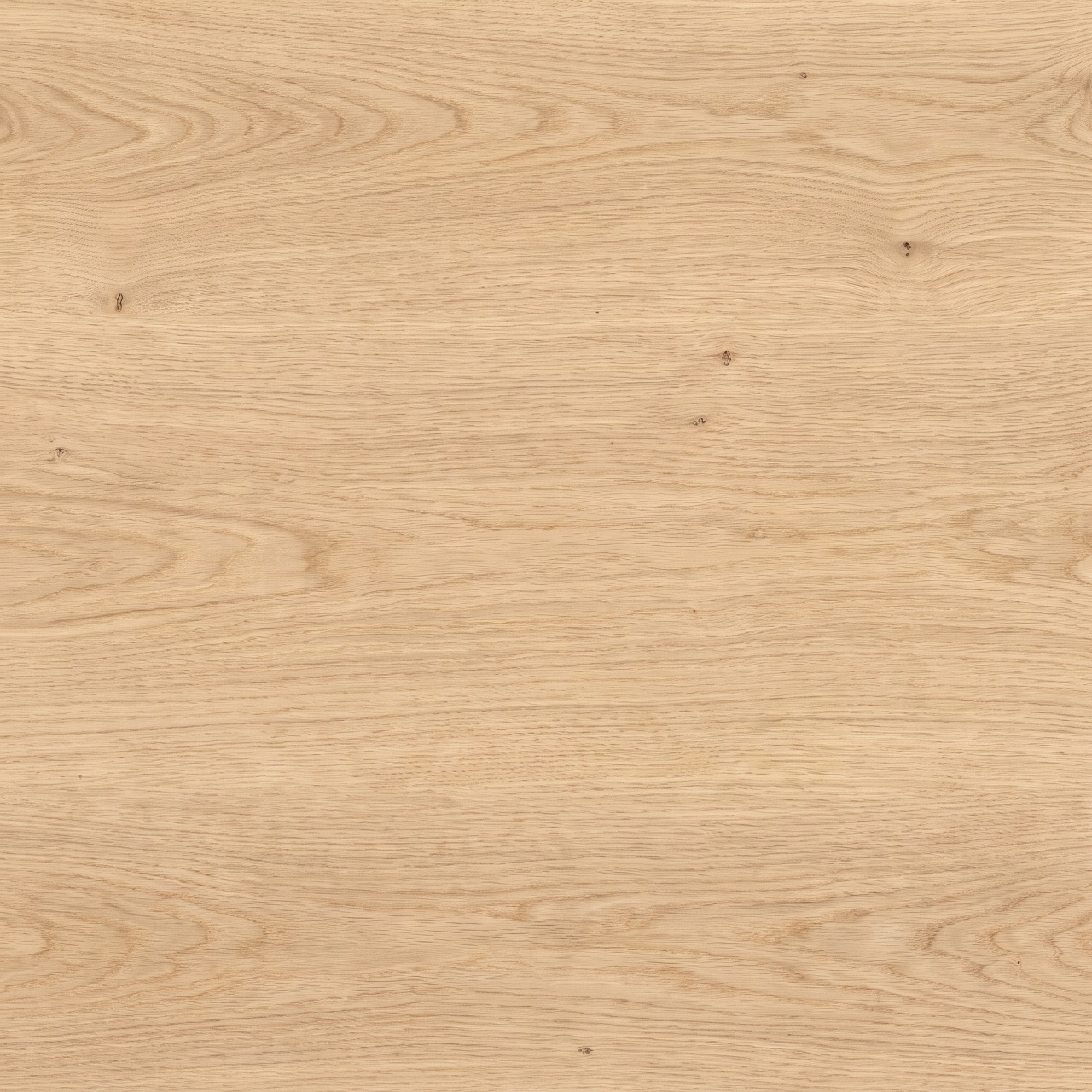 European Oak Wood Texture 002