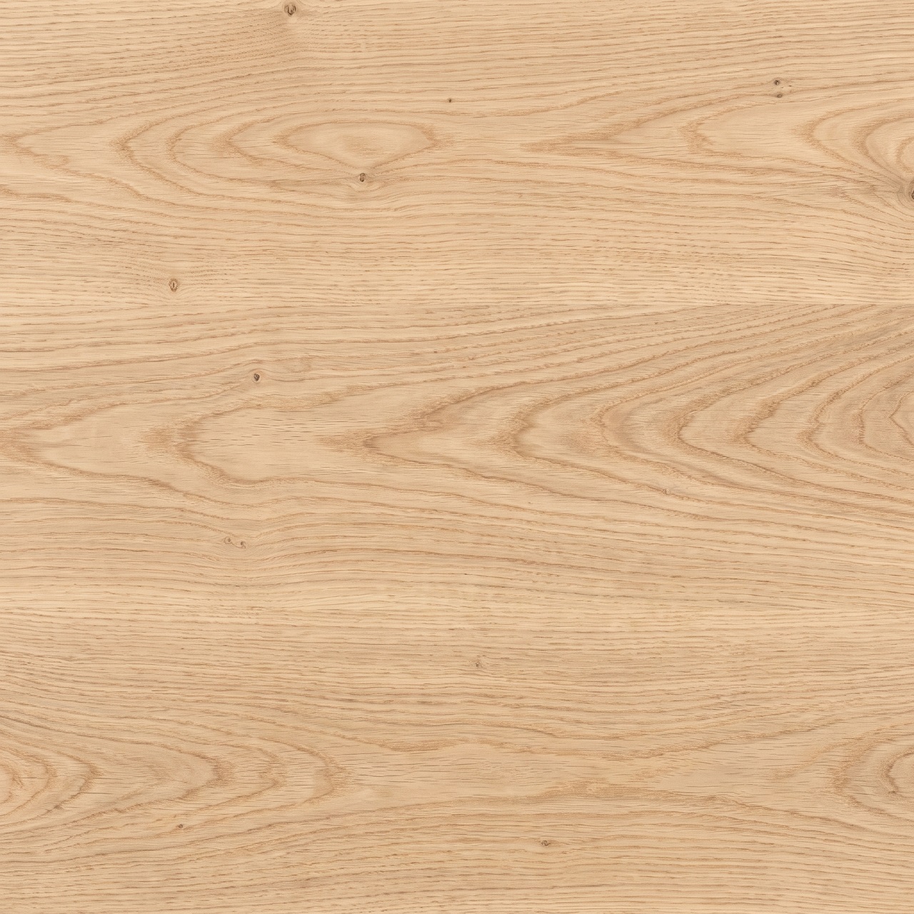 European Oak Wood Texture 003