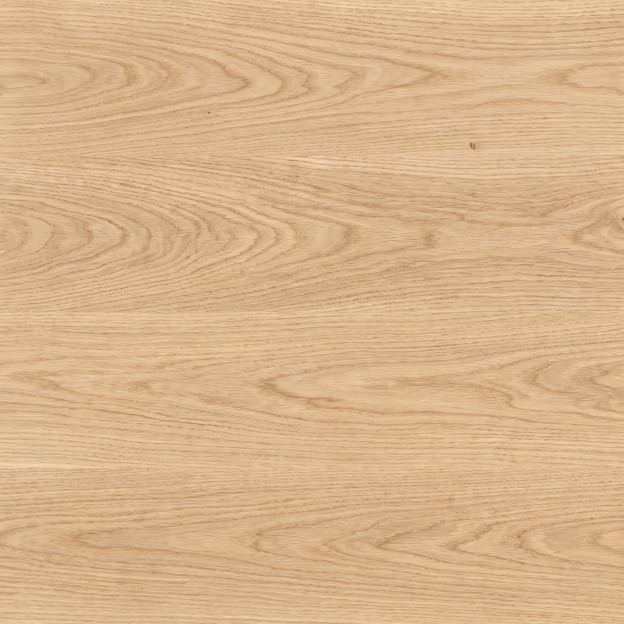 European Oak Wood Texture 004
