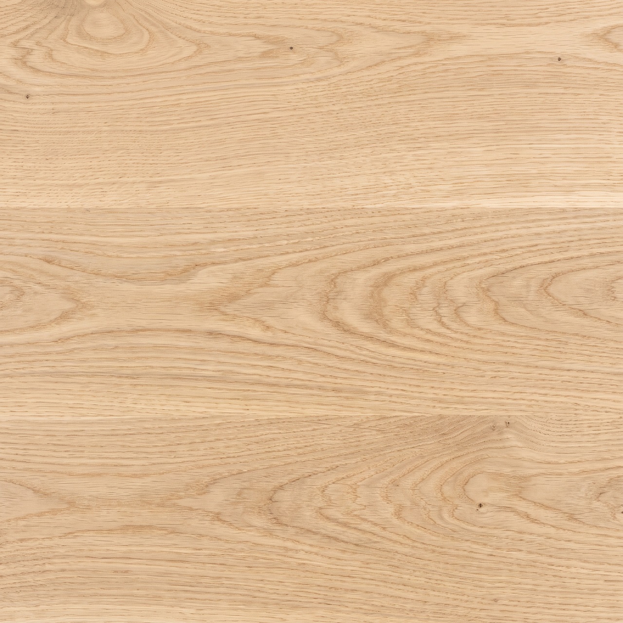 European Oak Wood Texture 005