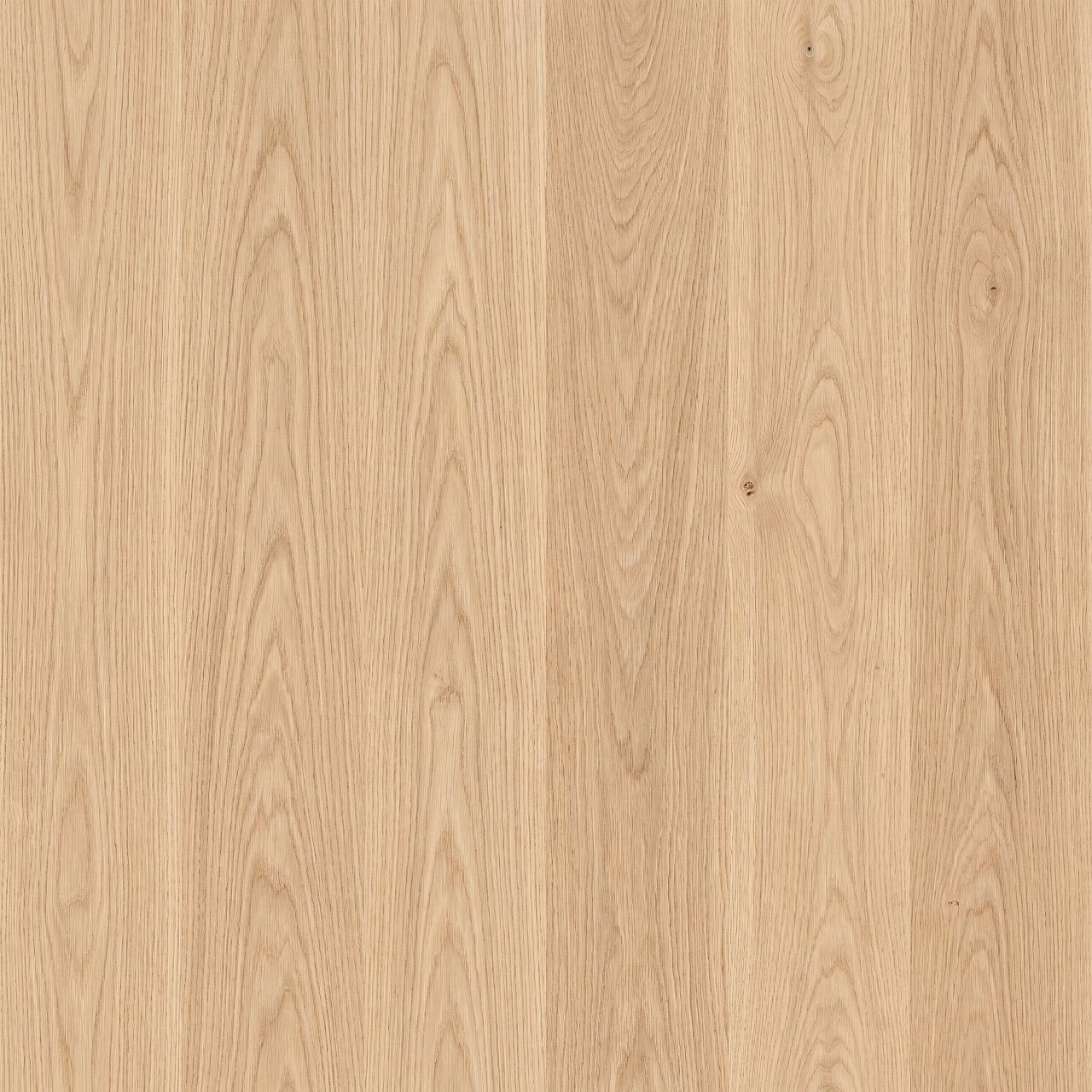 European Oak Wood Texture 006