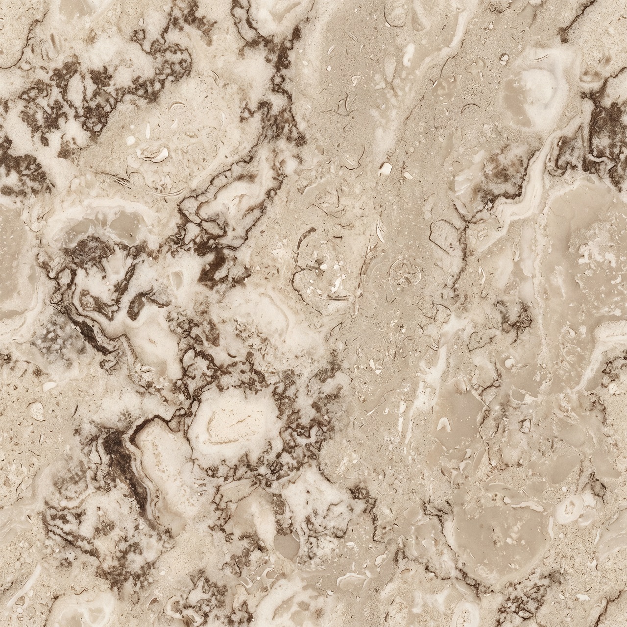 Fossil Limestone Texture 001