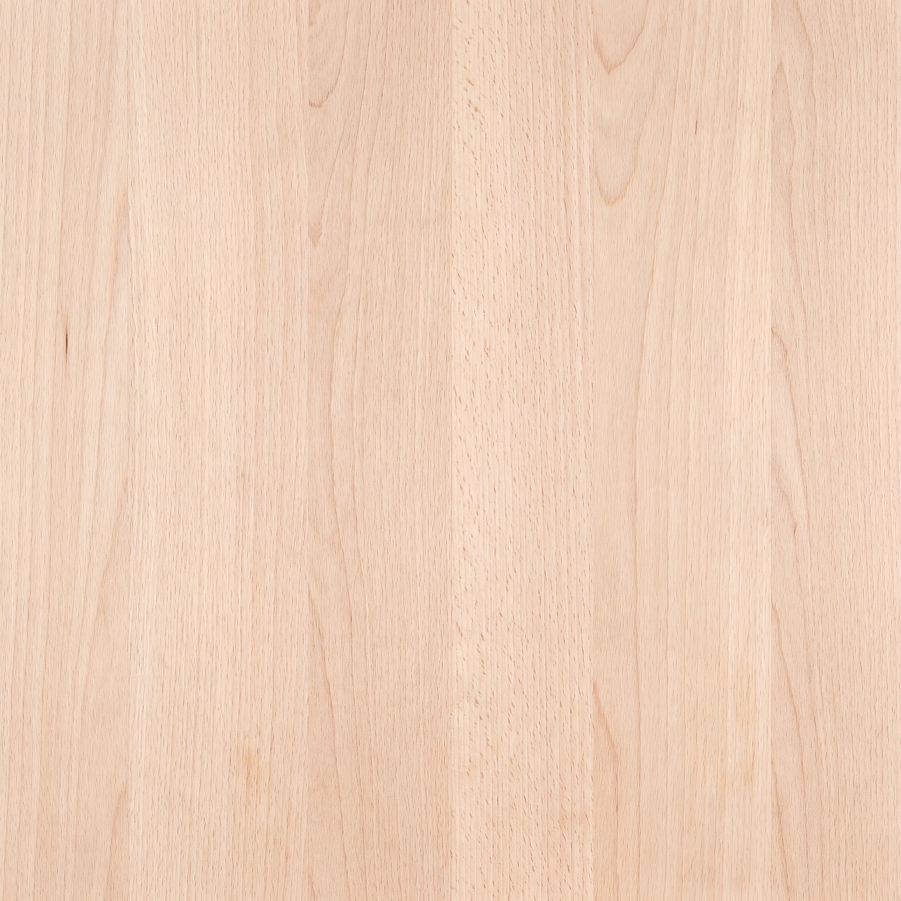 Beech Wood Texture 004