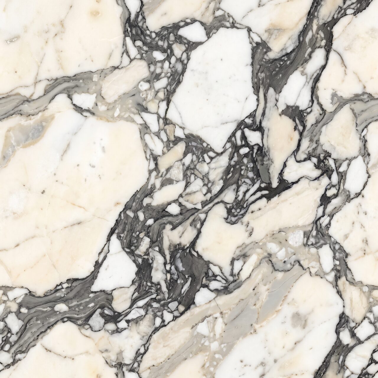 Breccia Black & White Marble Texture 001