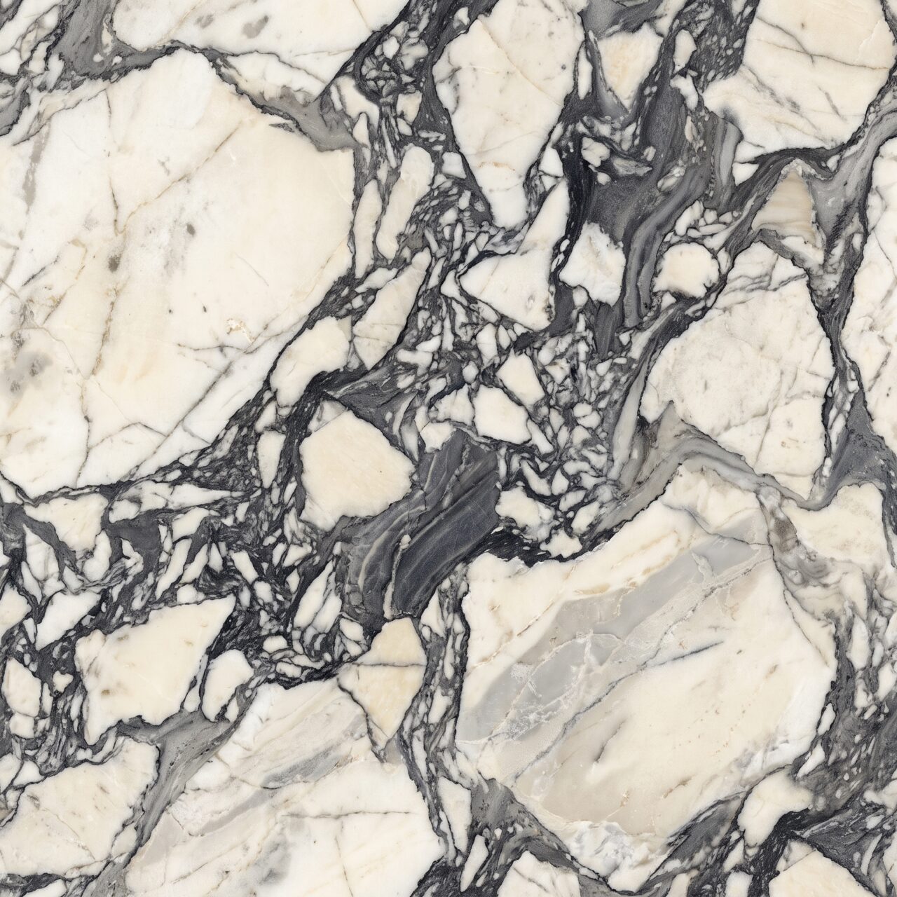 Breccia Black & White Marble Texture 002