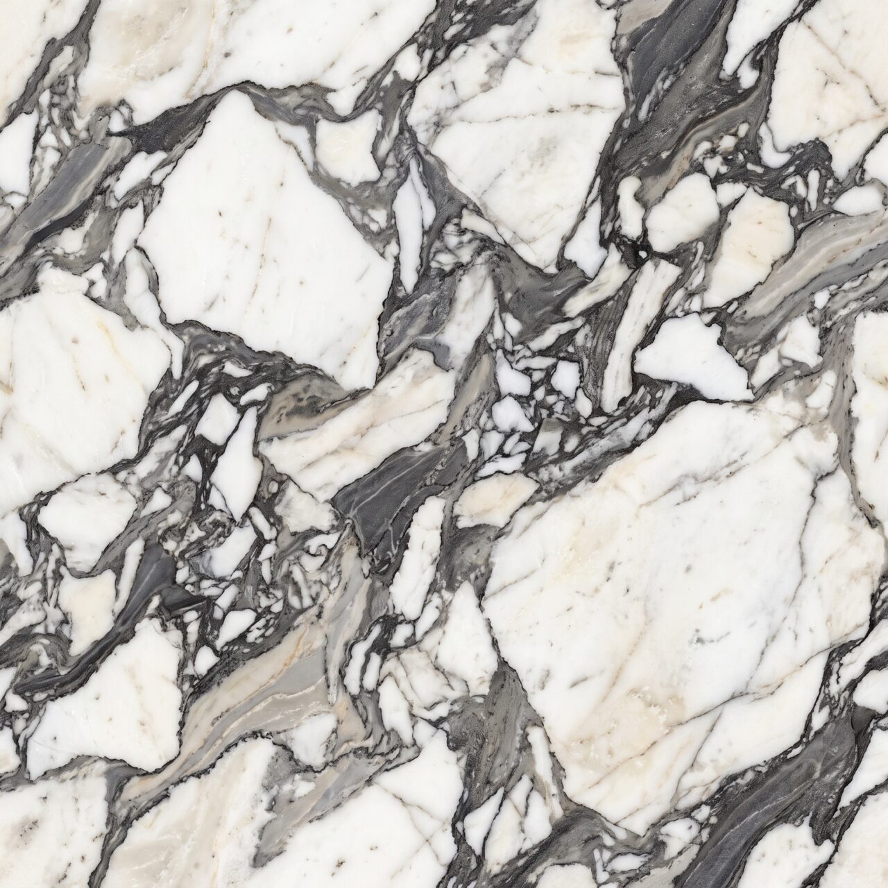 Breccia Black & White Marble Texture 004