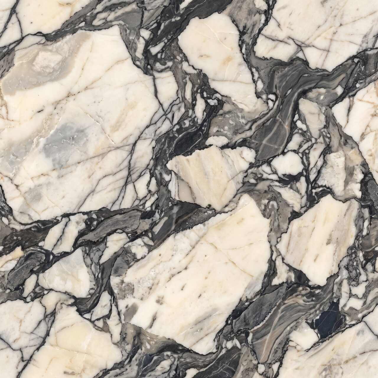 Breccia Black & White Marble Texture 005