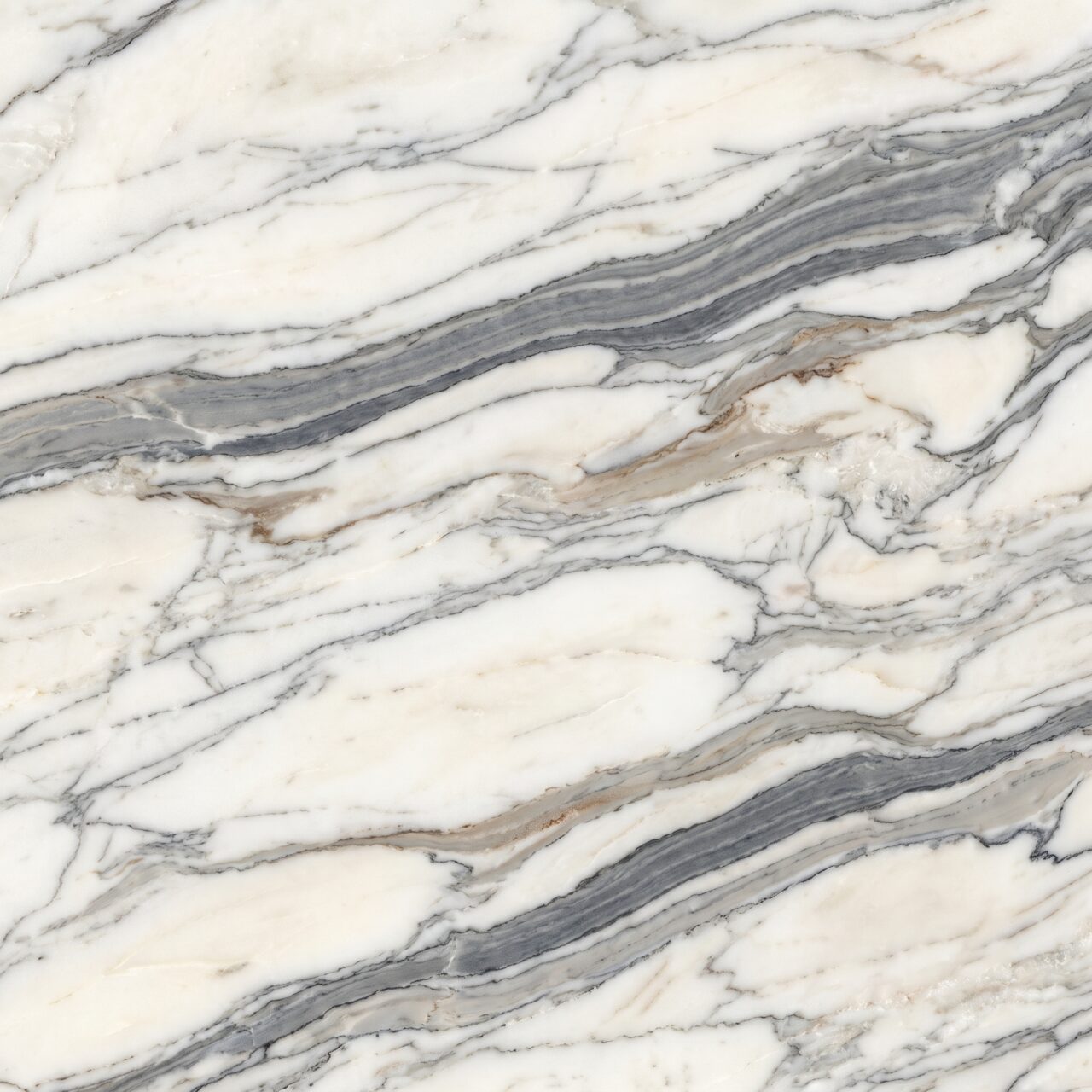 Calacatta Cielo Marble Texture 010