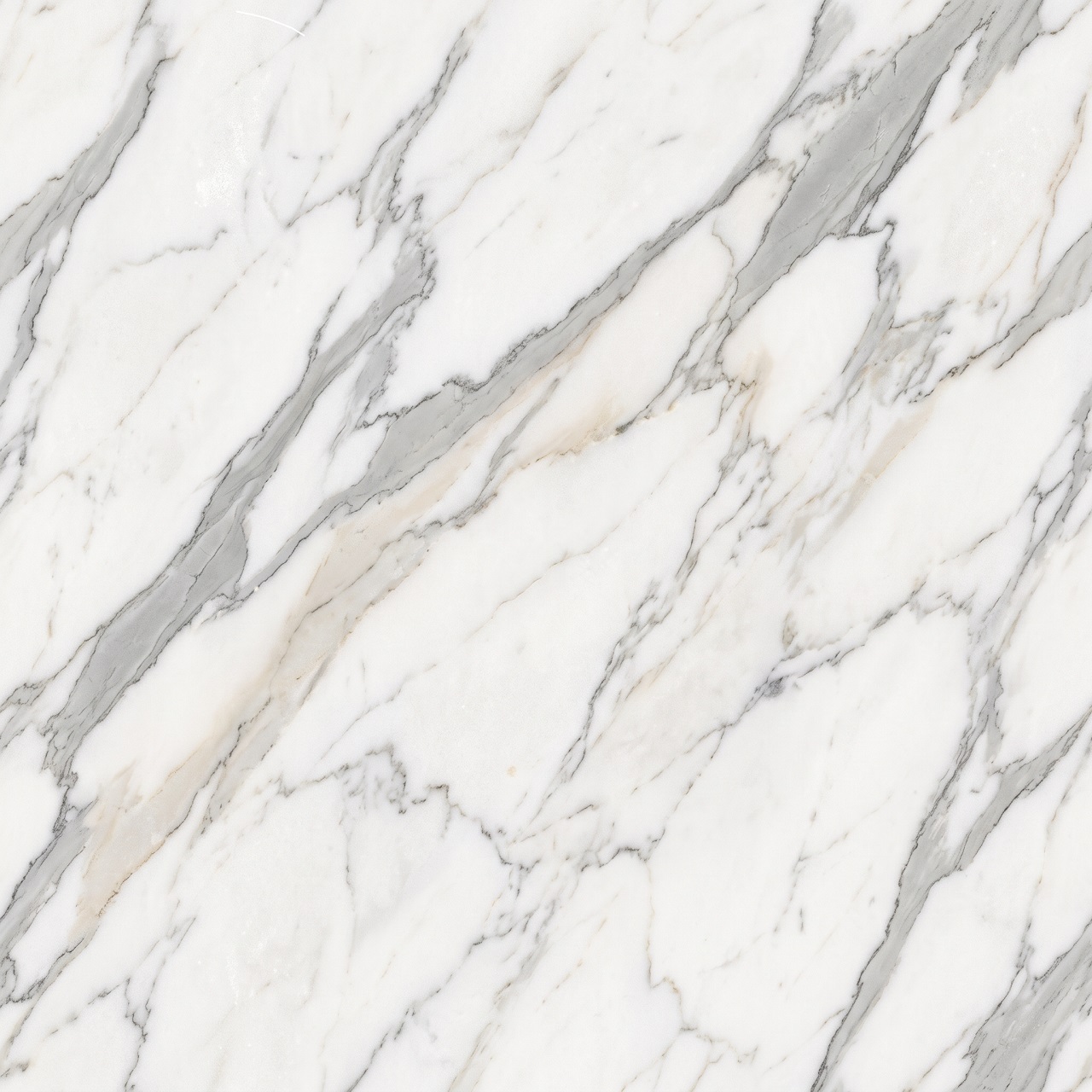 Calacatta Marble Texture 002