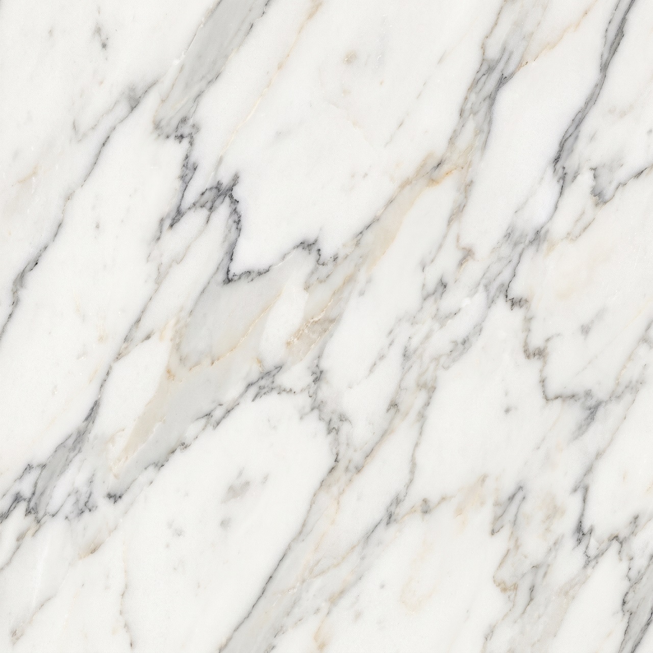 Calacatta Marble Texture 004