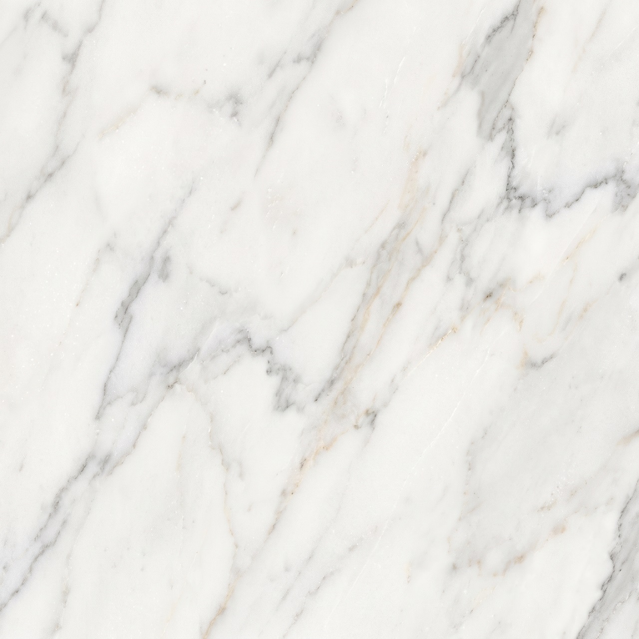 Calacatta Marble Texture 005