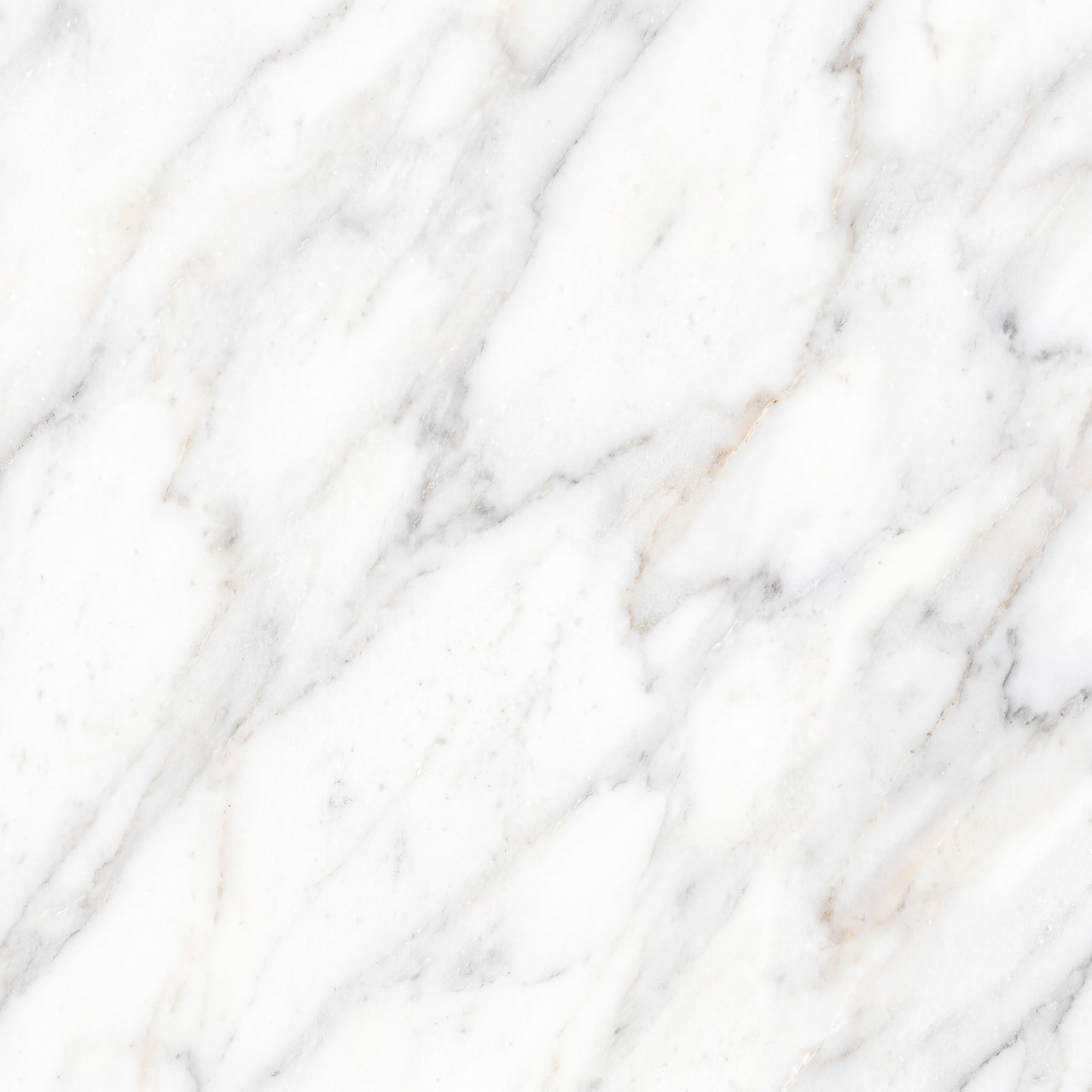 Calacatta Marble Texture 006