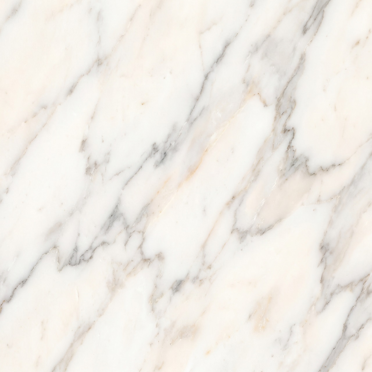 Calacatta Marble Texture 008