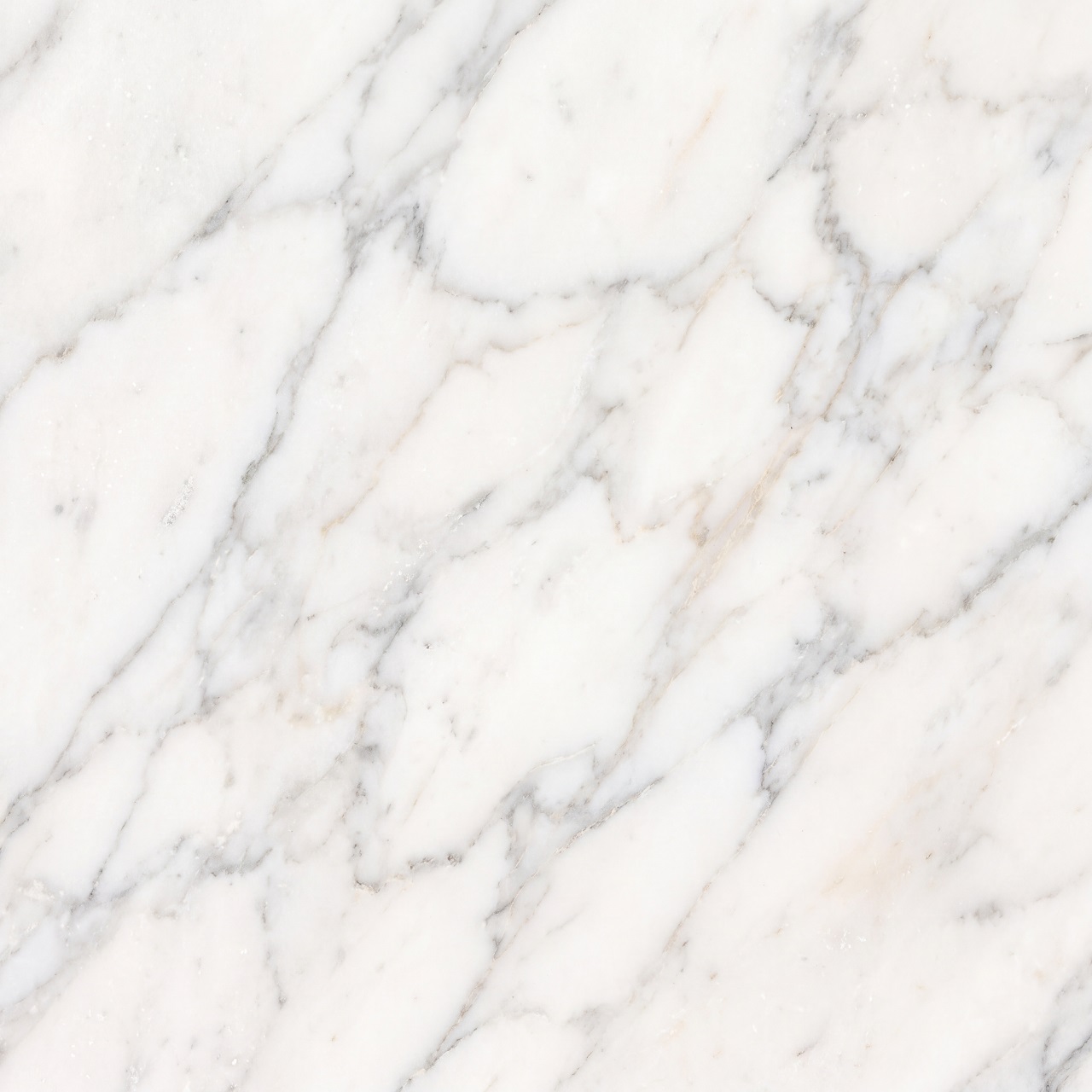 Calacatta Marble Texture 009