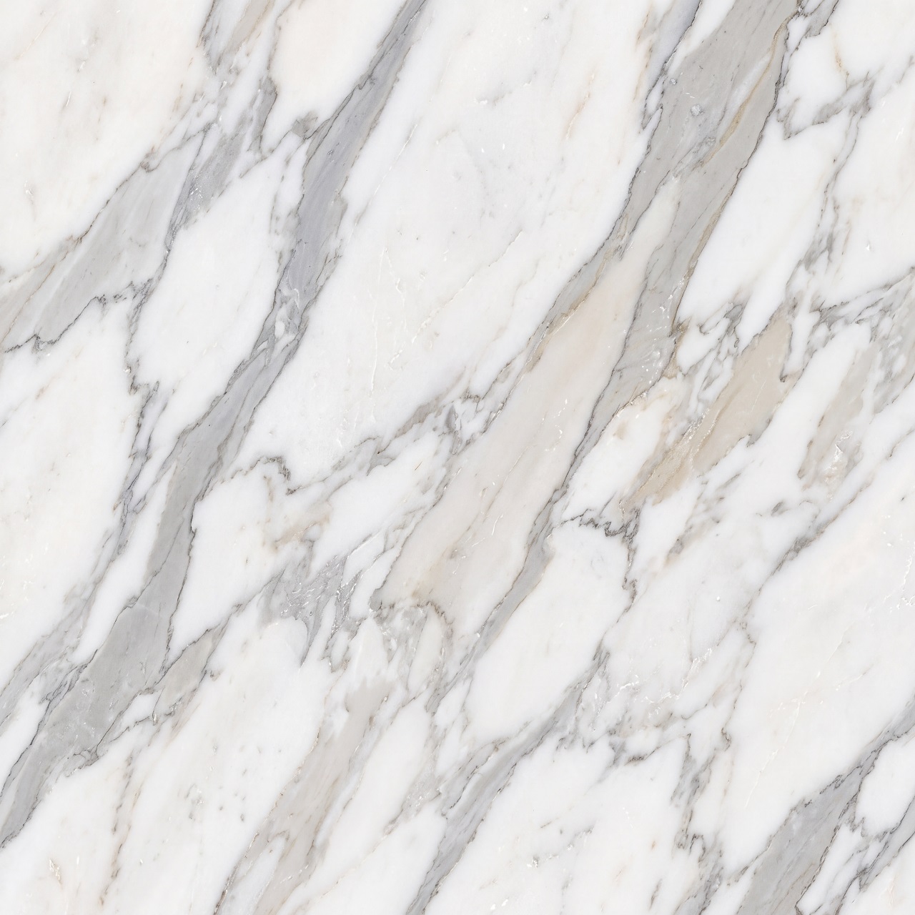 Calacatta Marble Texture 010
