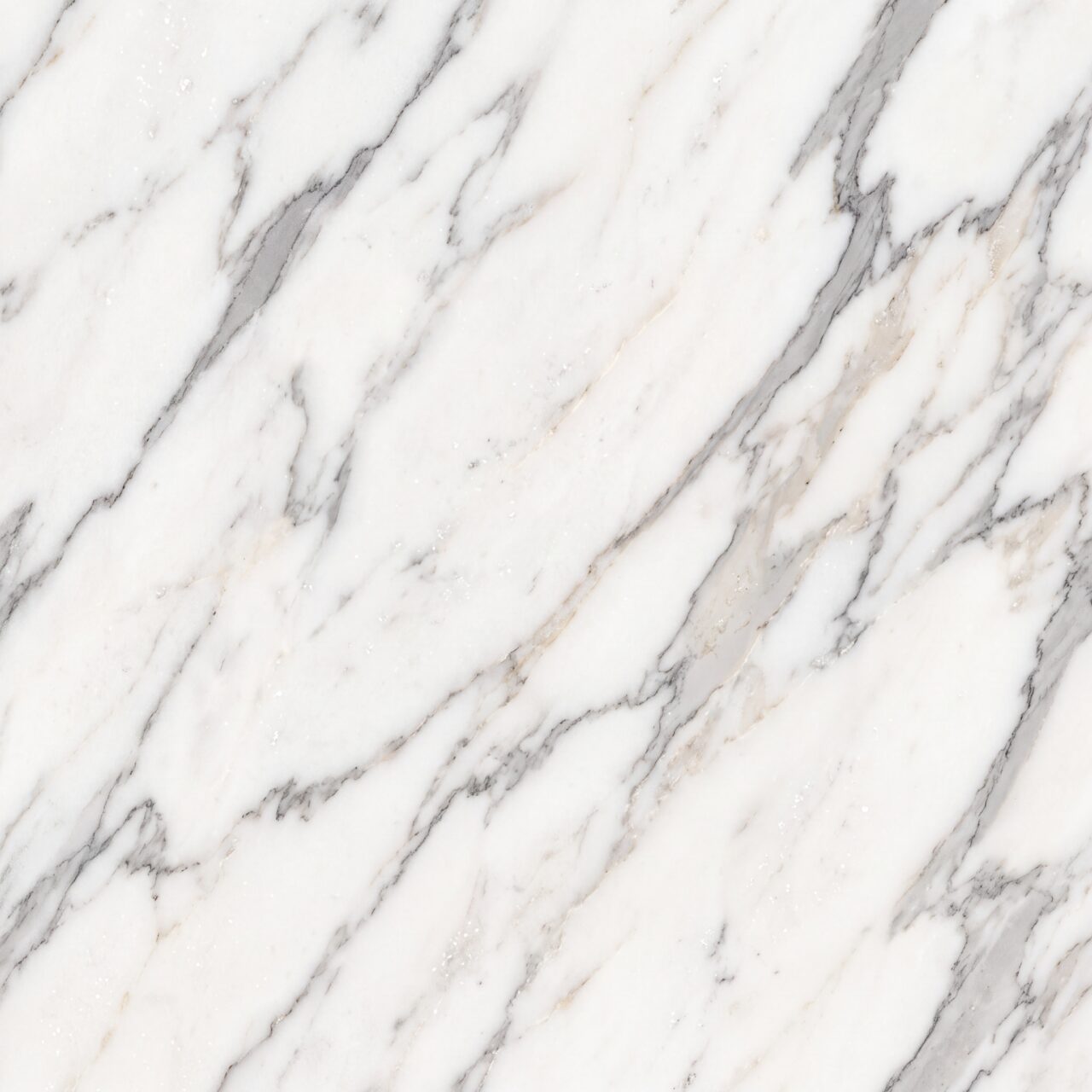 Calacatta Marble Texture 012