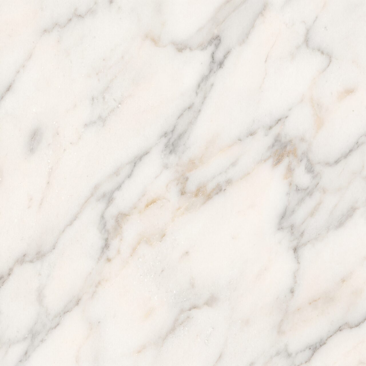 Calacatta Marble Texture 015