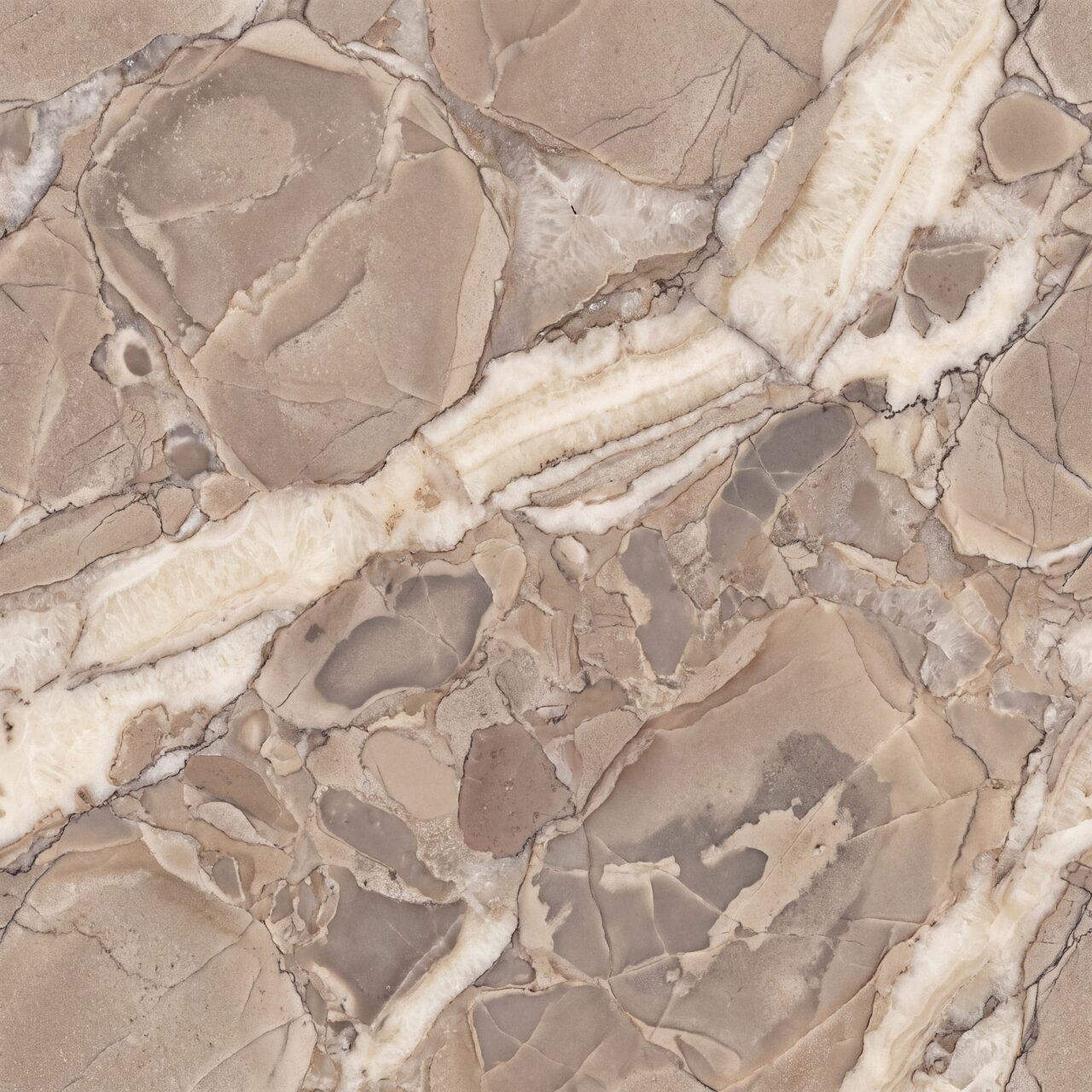 Cappuccino Quartzite Texture 006