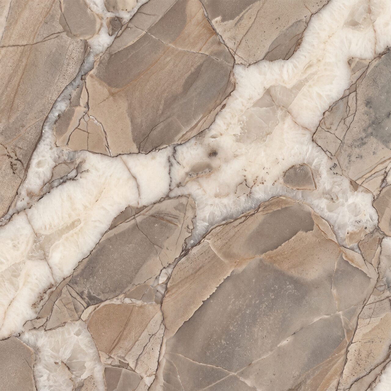 Cappuccino Quartzite Texture 008