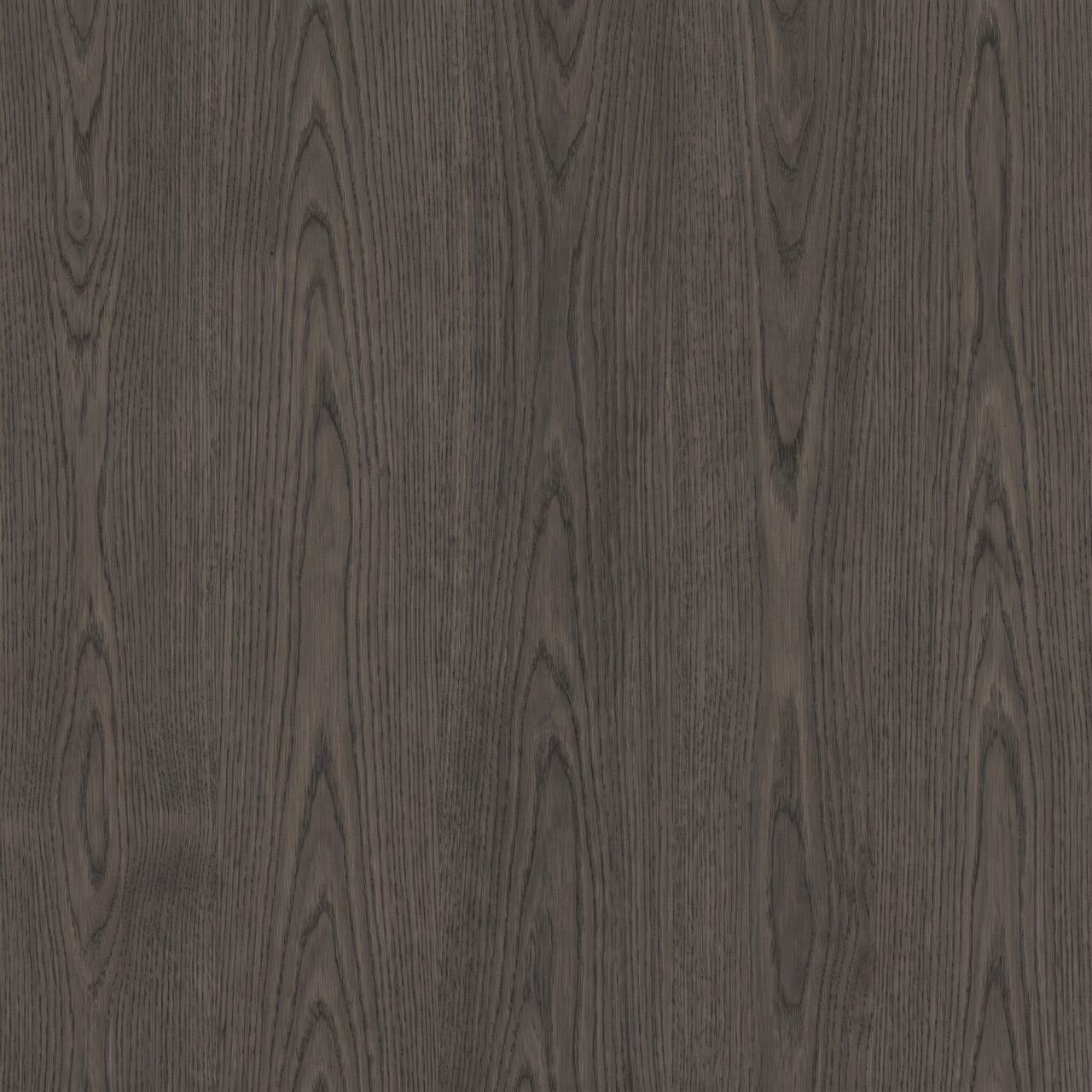 Charcoal Oak Wood Texture 001
