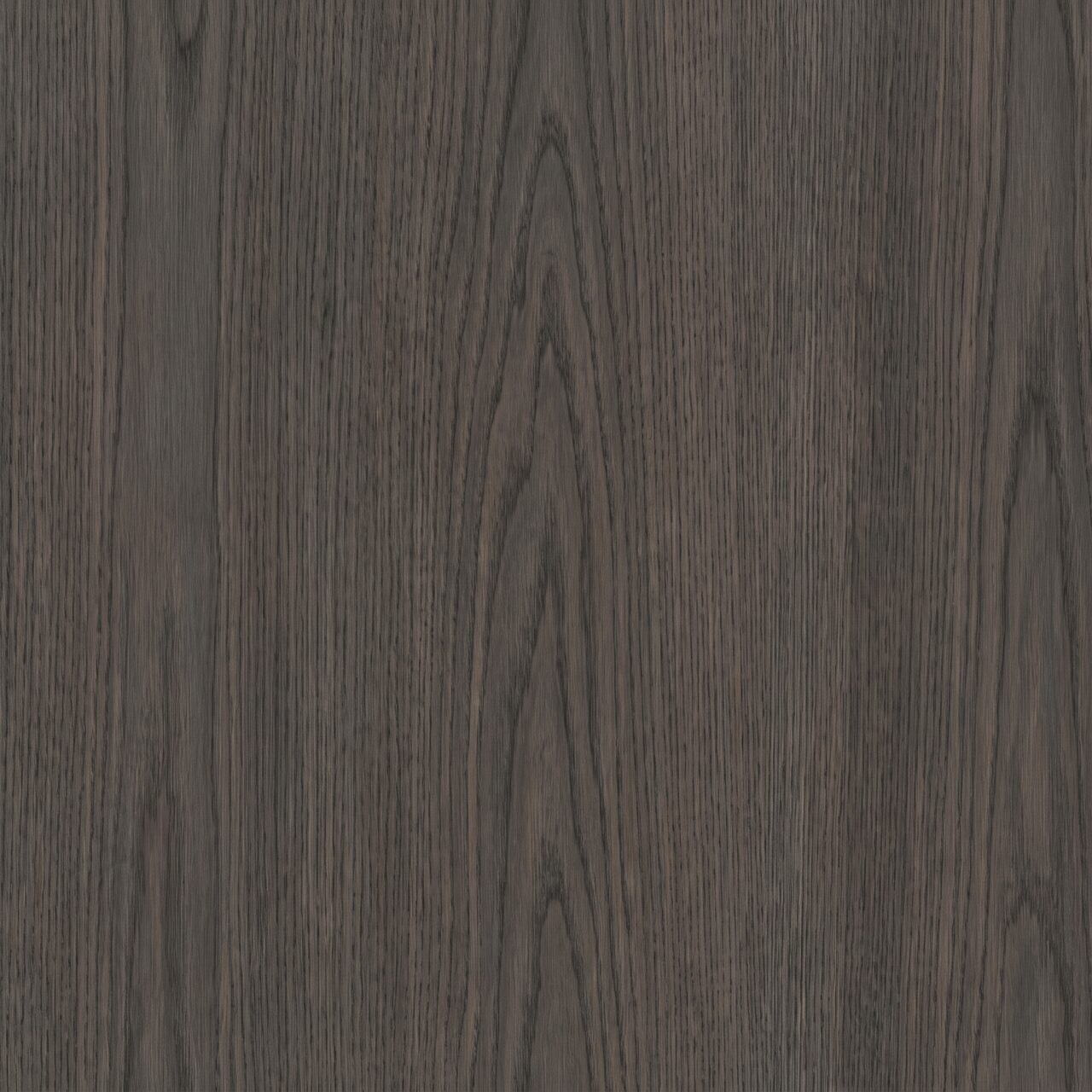 Charcoal Oak Wood Texture 004