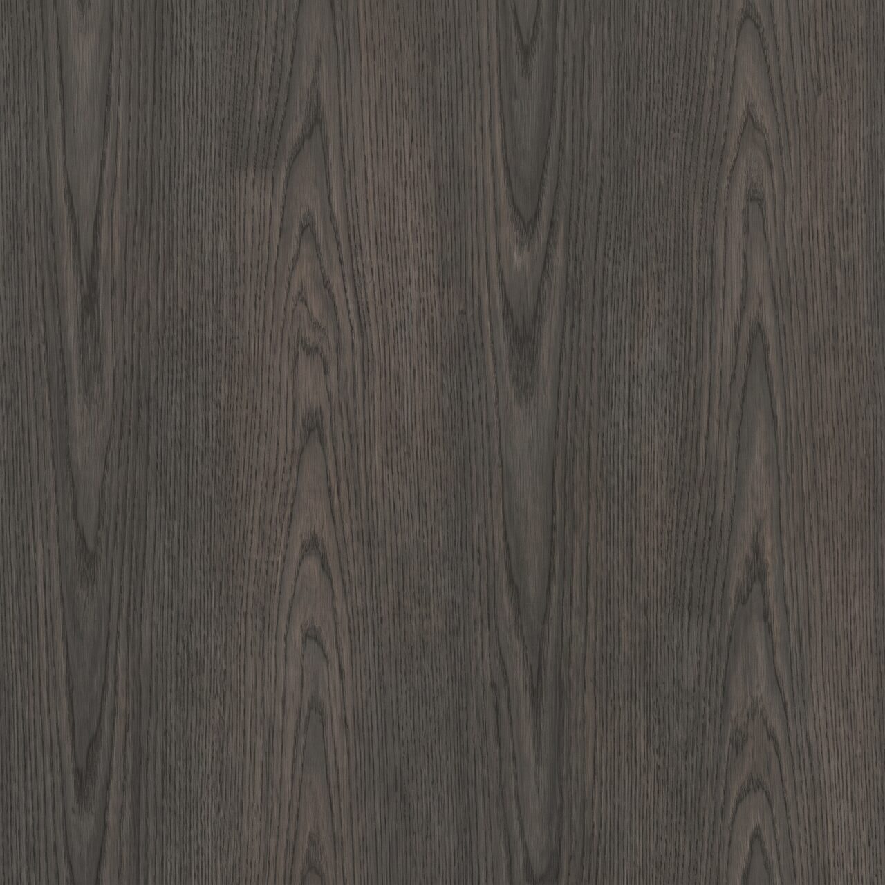 Charcoal Oak Wood Texture 005