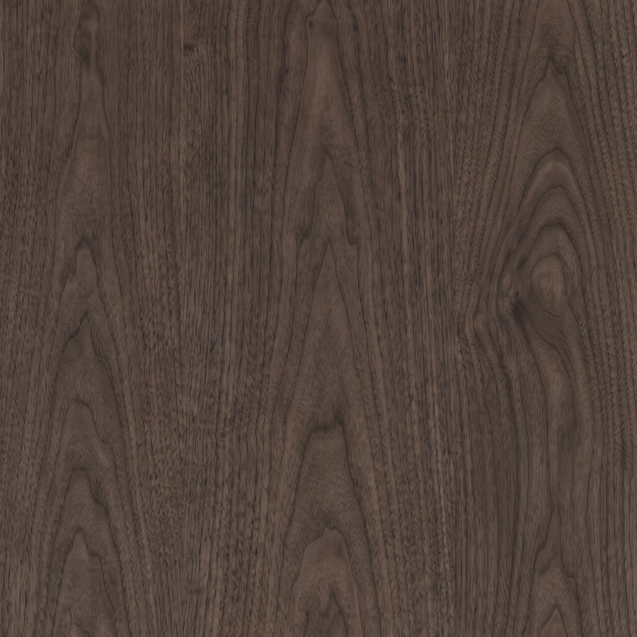 Dark Walnut Wood Texture 001
