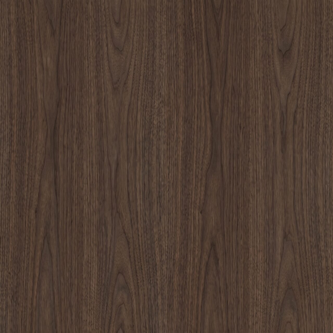 Dark Walnut Wood Texture 003