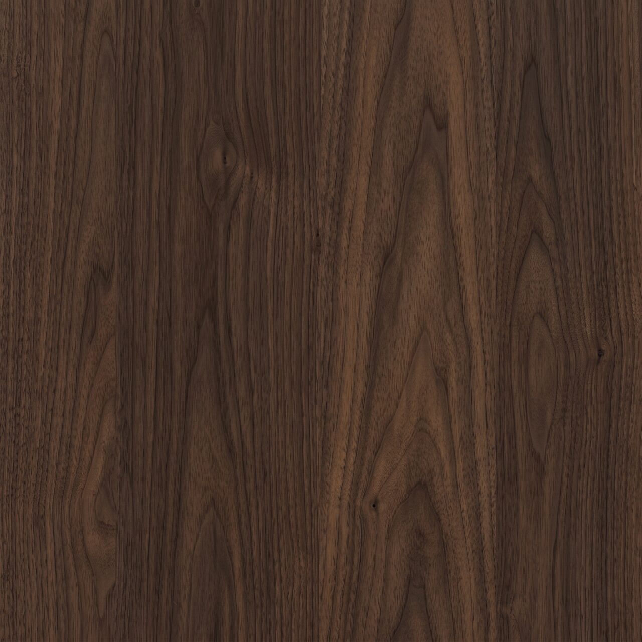 Deep Walnut Wood Texture 003