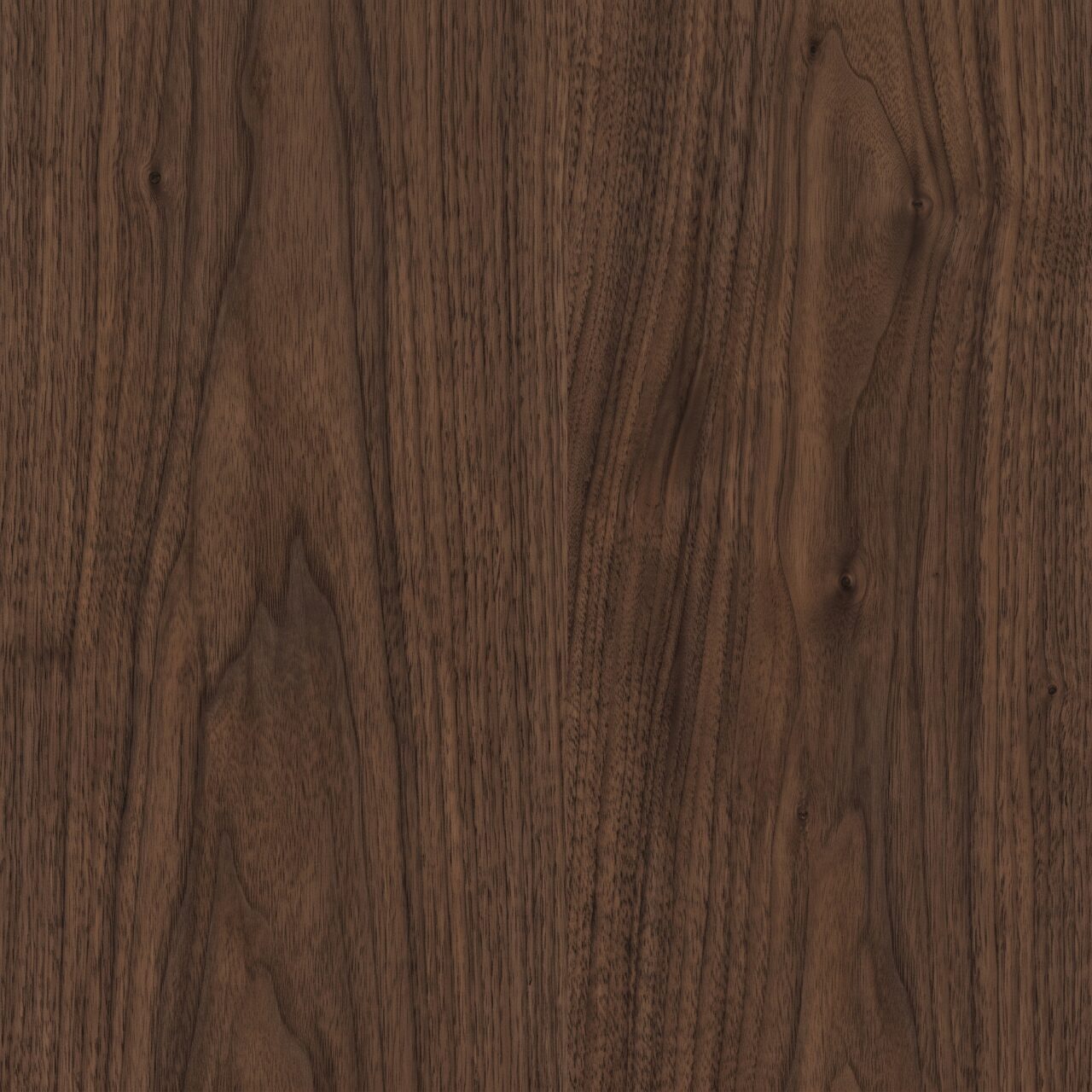 Deep Walnut Wood Texture 004