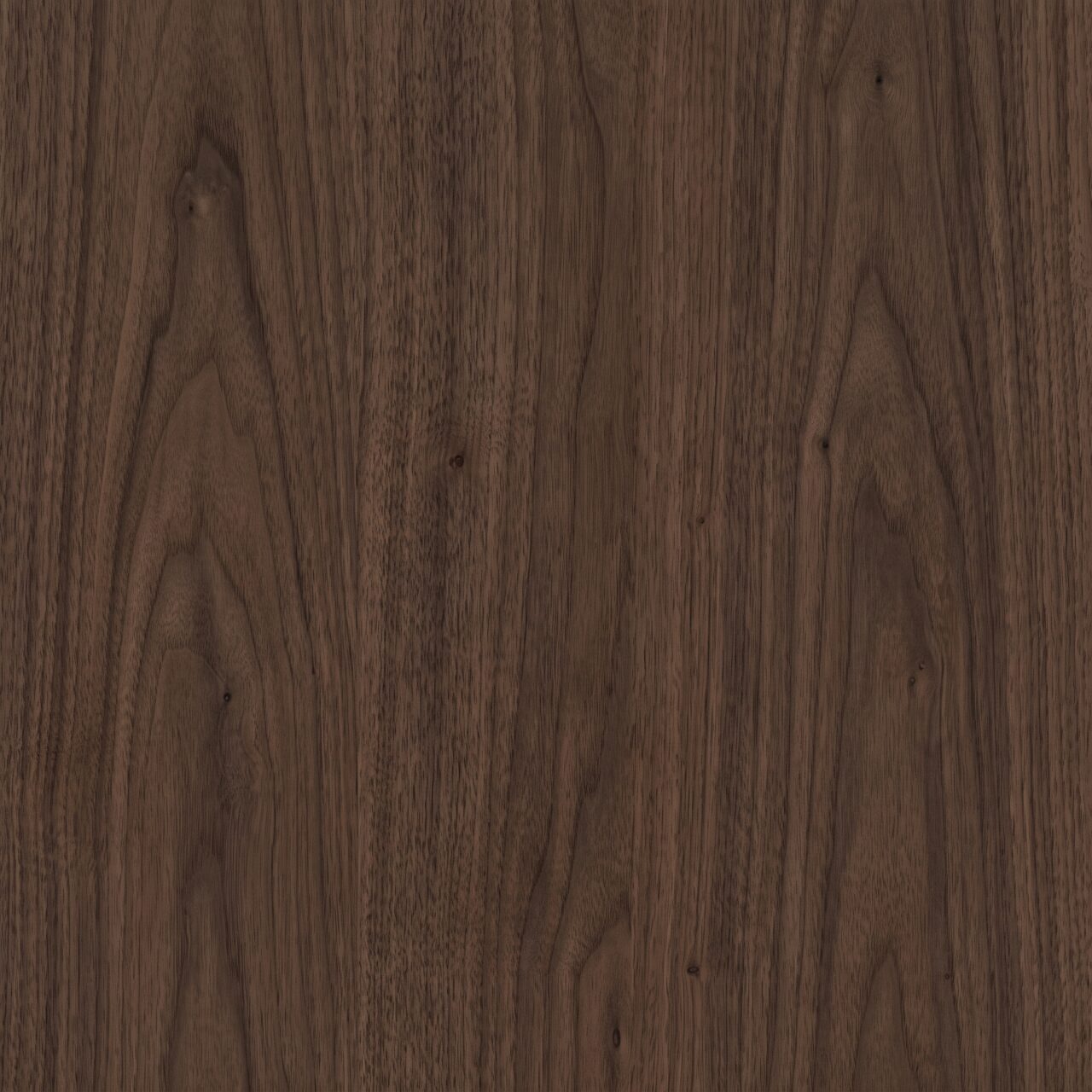 Deep Walnut Wood Texture 005