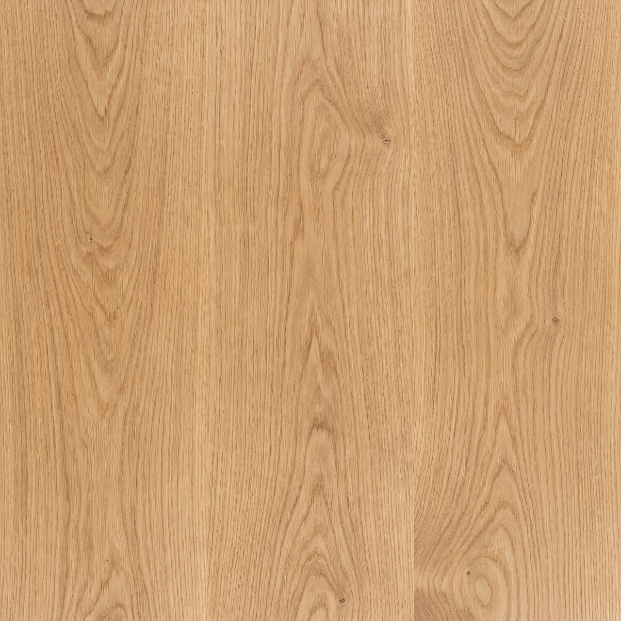 European Oak Wood Texture 009