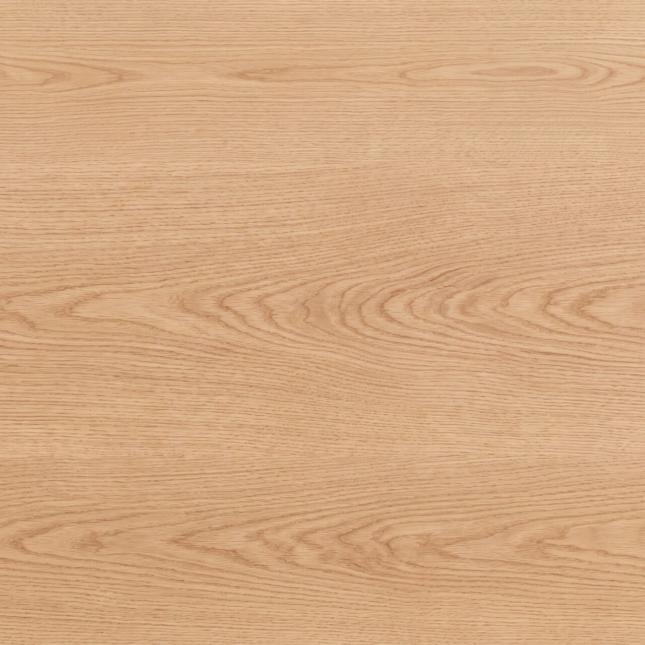 European Oak Wood Texture 014