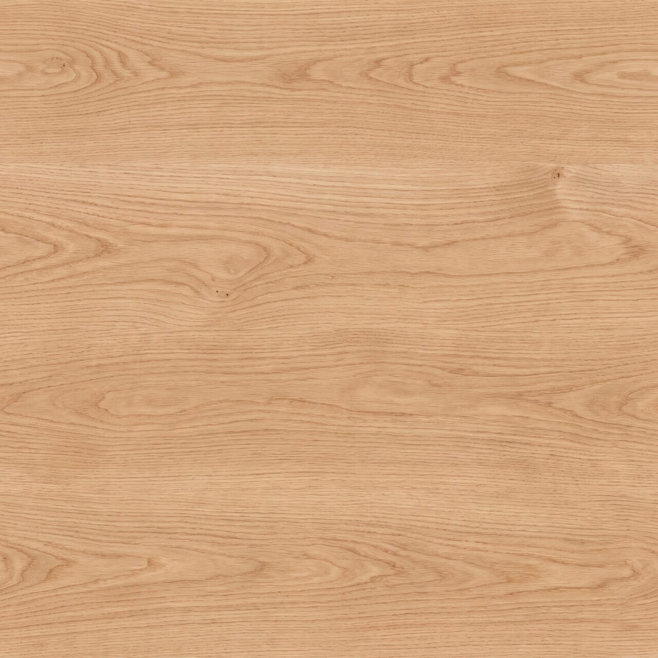 European Oak Wood Texture 015