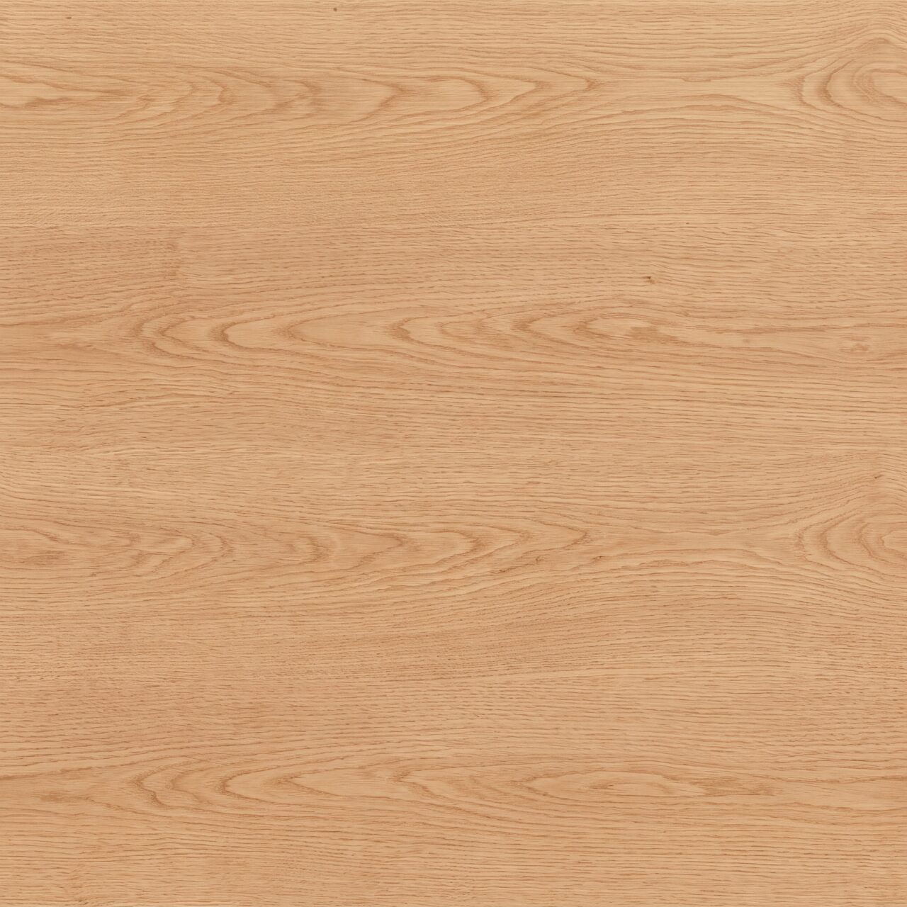 European Oak Wood Texture 018