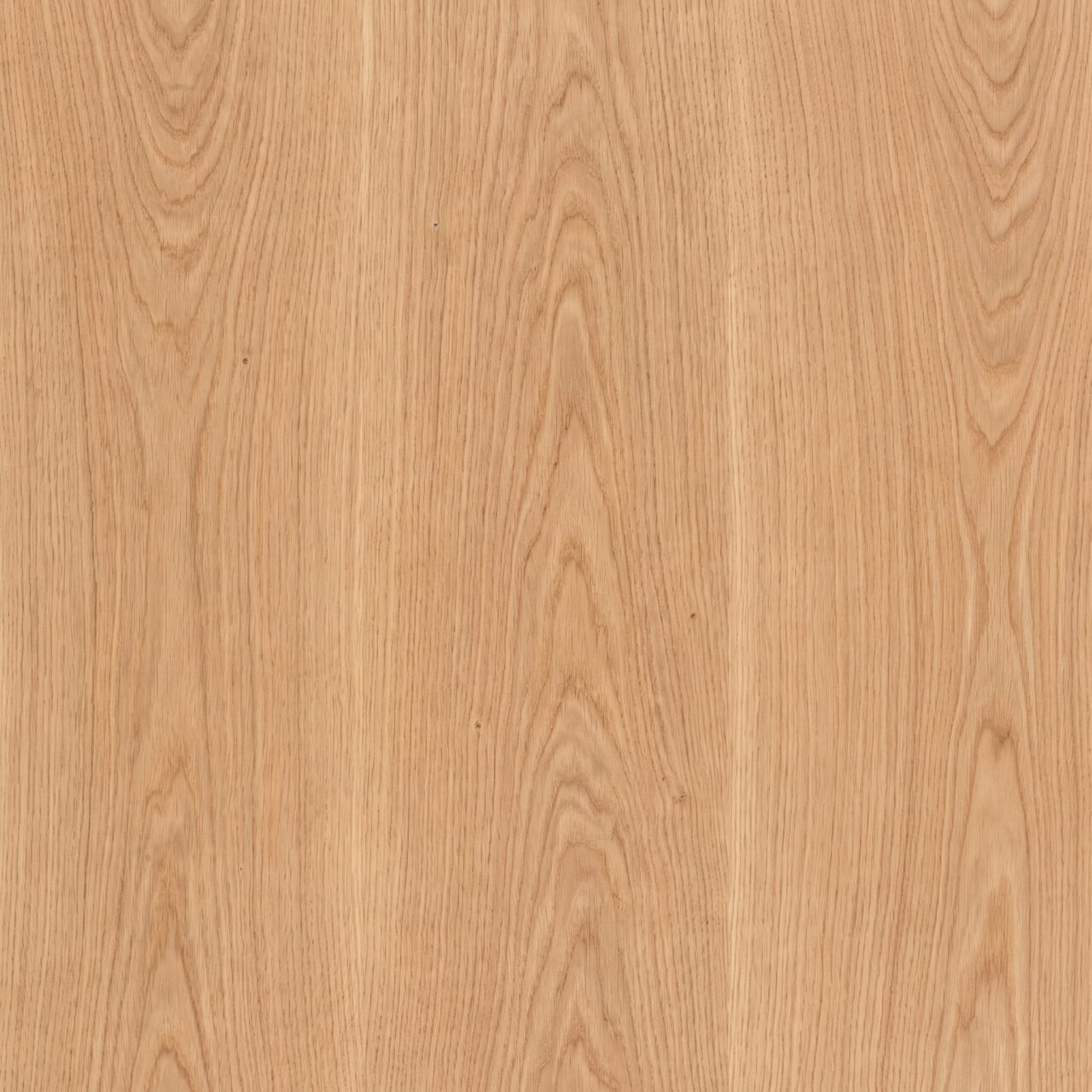 European Oak Wood Texture 021
