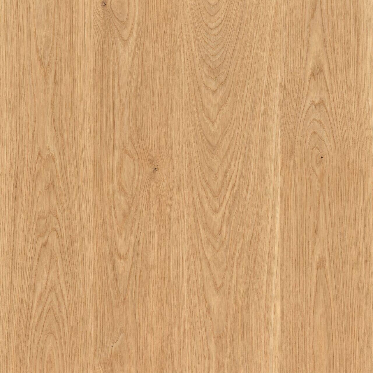 European Oak Wood Texture 029