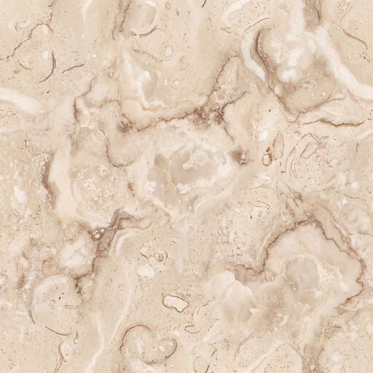 Fossil Limestone Texture 002