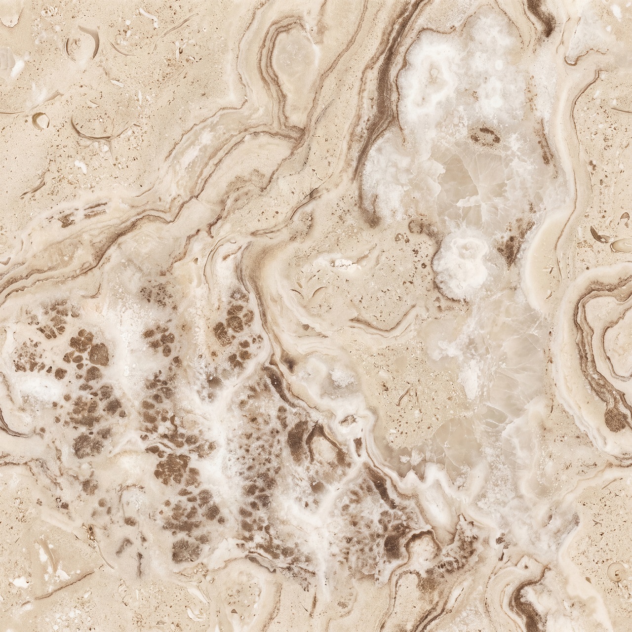 Fossil Limestone Texture 003