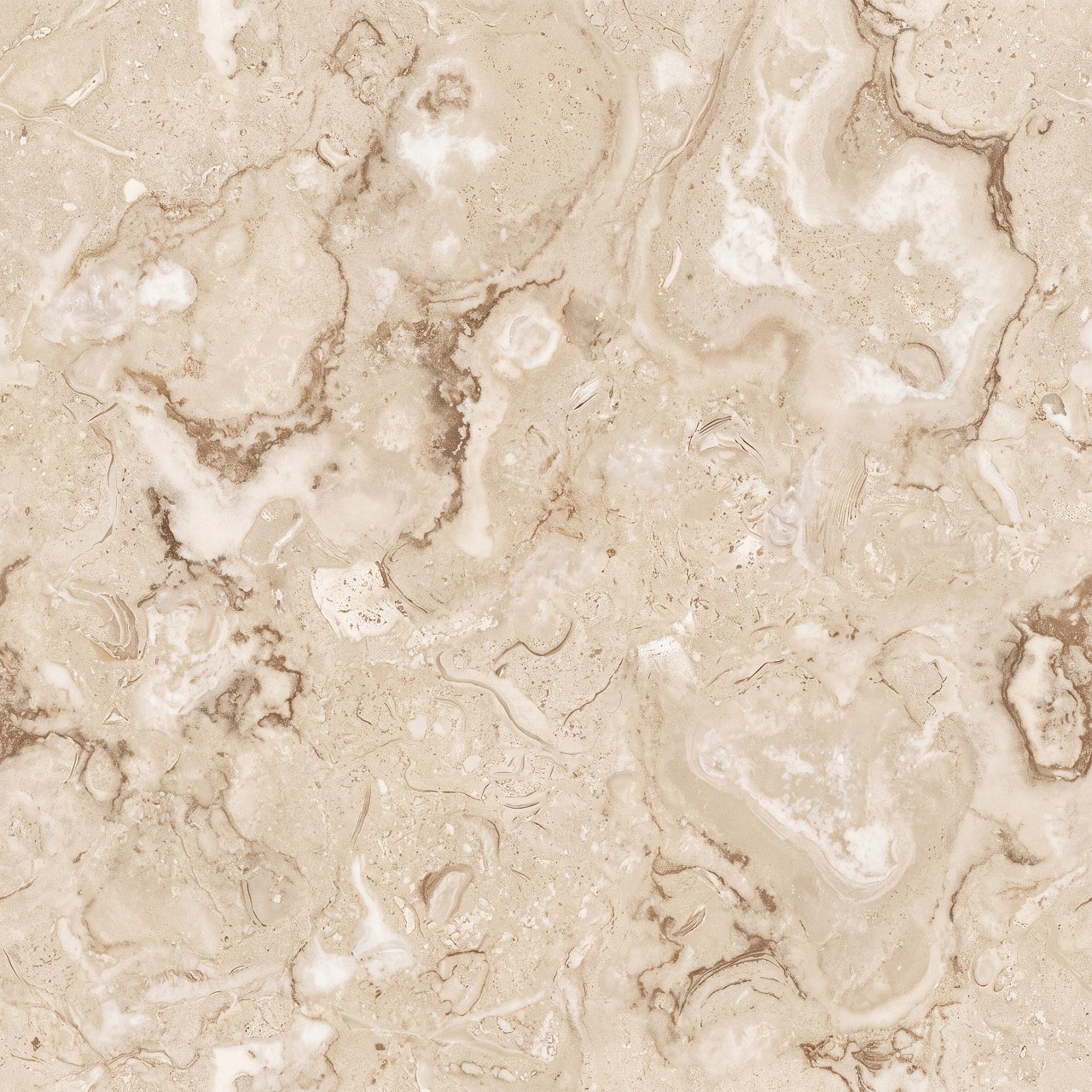 Fossil Limestone Texture 004