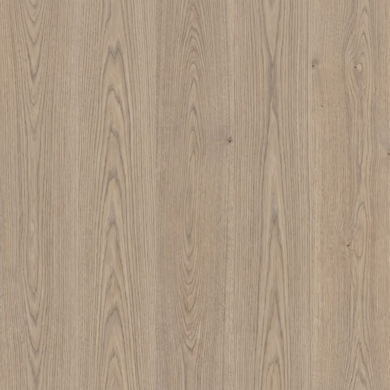 Greige Oak Wood Texture 003