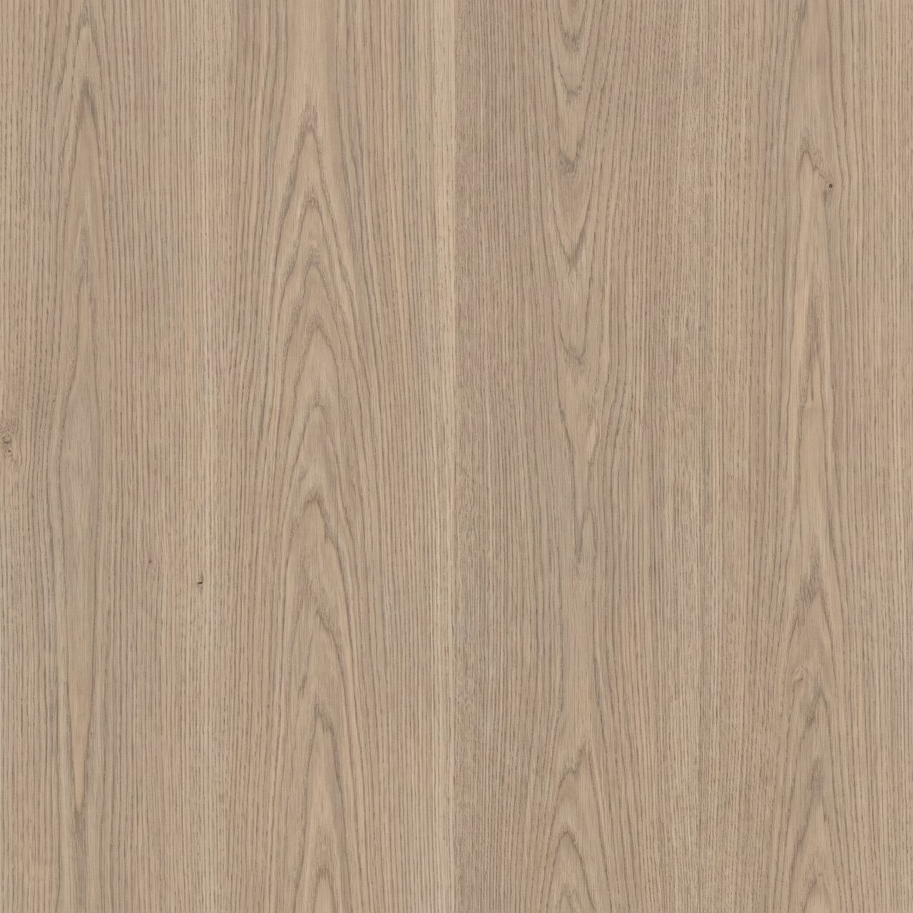Greige Oak Wood Texture 004