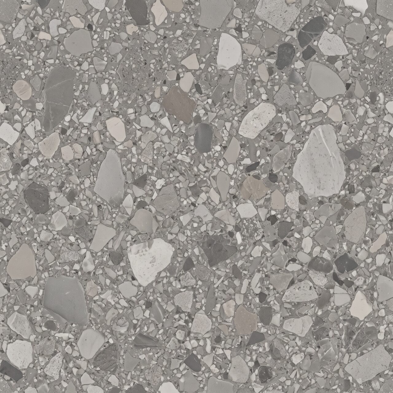 Grey Terrazzo Stone Texture 005