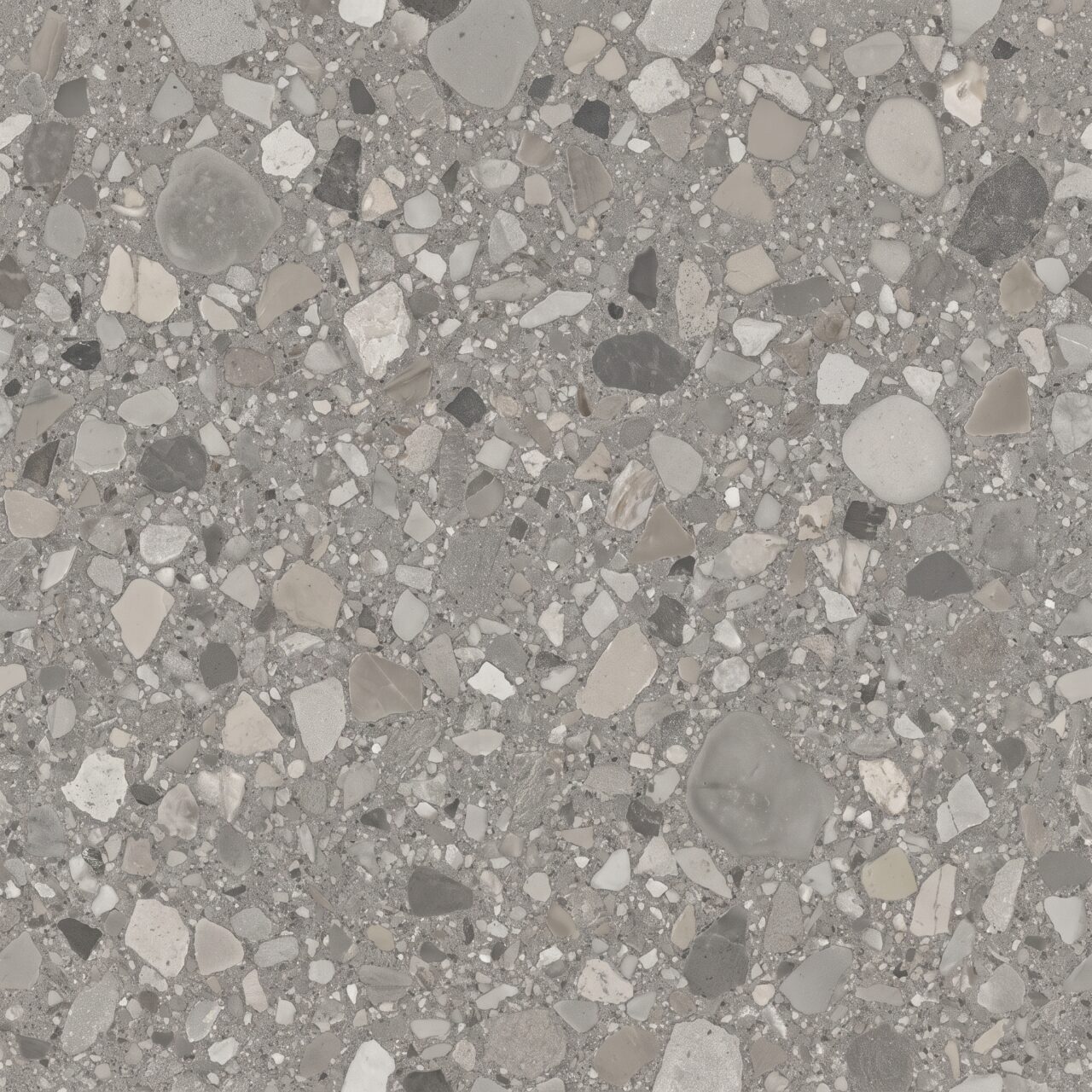 Grey Terrazzo Stone Texture 007
