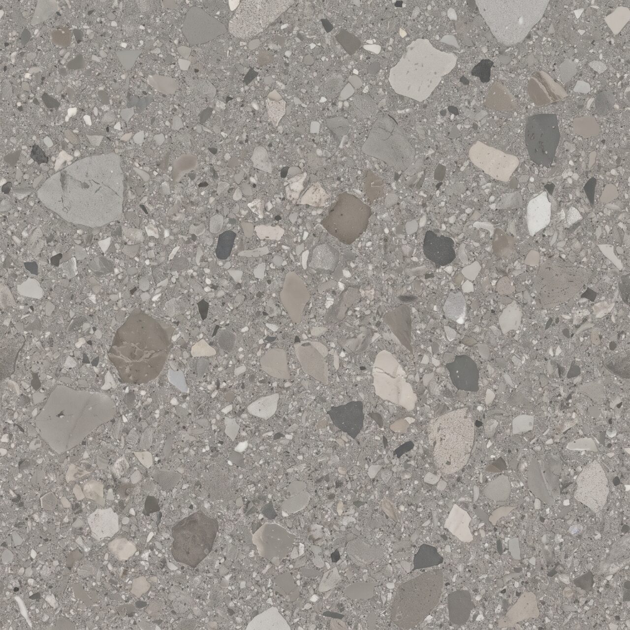 Grey Terrazzo Stone Texture 009